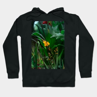 Orange flowers at an autumn garden Hoodie